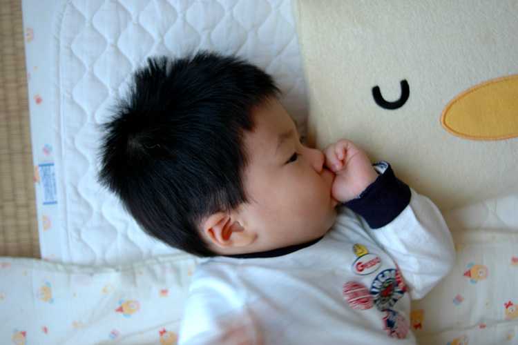 pic-No.17