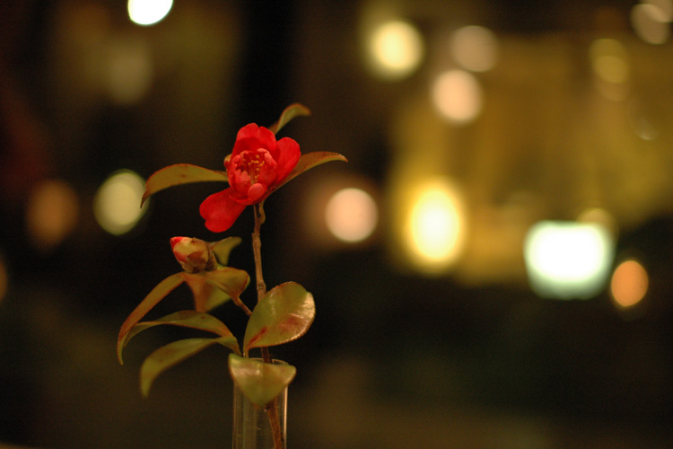 pic-No.10