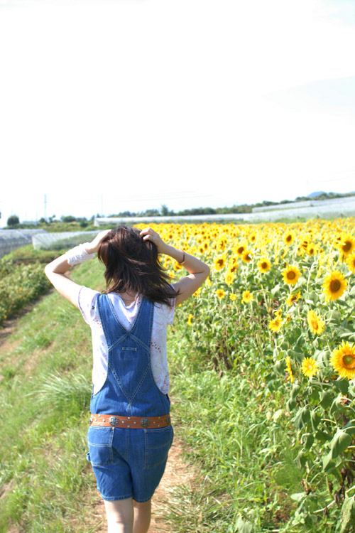 pic-No.26
